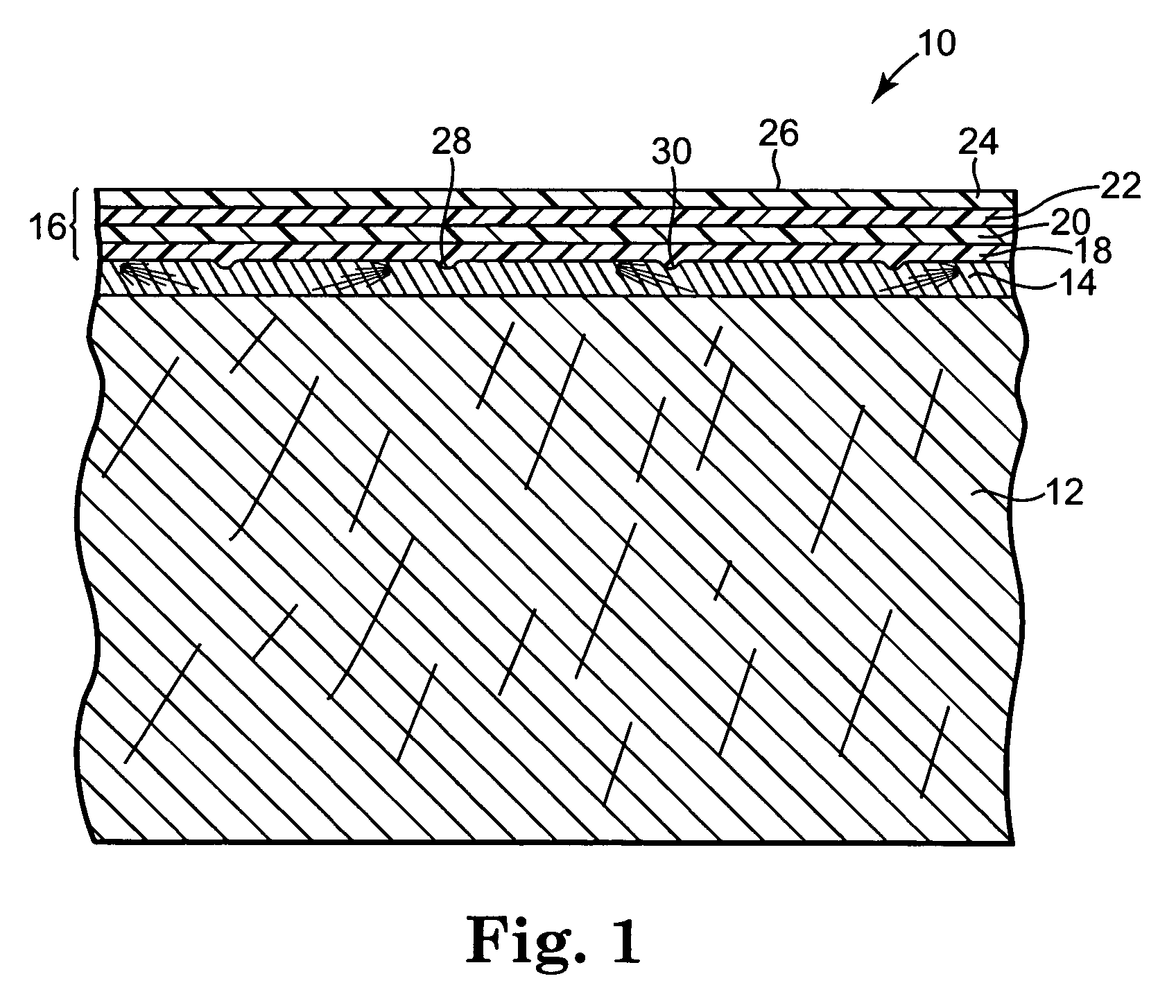 Check-resistant veneer coating system