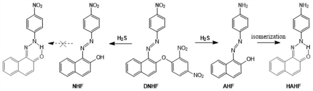 A kind of two-photon ultra-low background fluorescent probe and its preparation method and application