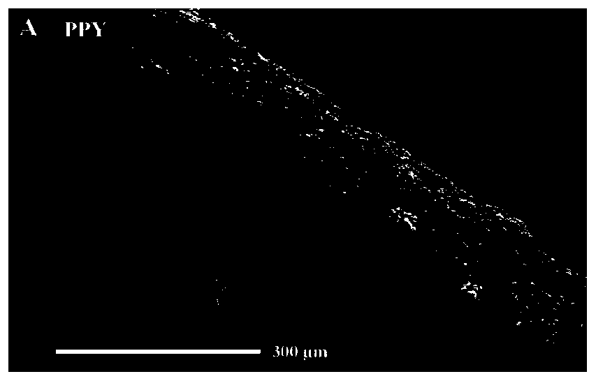 Solid phase microextraction head and preparation method and application thereof