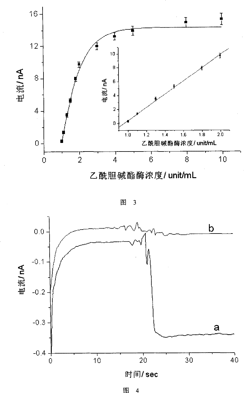 Electro-chemistry detecting method for fast identifying peripheral nerve bundle nature