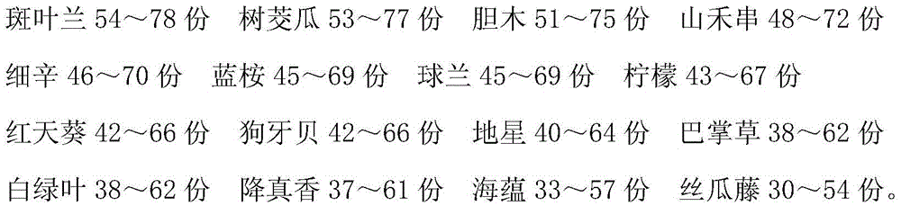 A kind of traditional Chinese medicine preparation for treating bronchitis and its preparation method