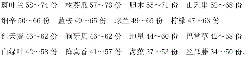 A kind of traditional Chinese medicine preparation for treating bronchitis and its preparation method