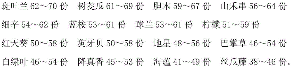 A kind of traditional Chinese medicine preparation for treating bronchitis and its preparation method