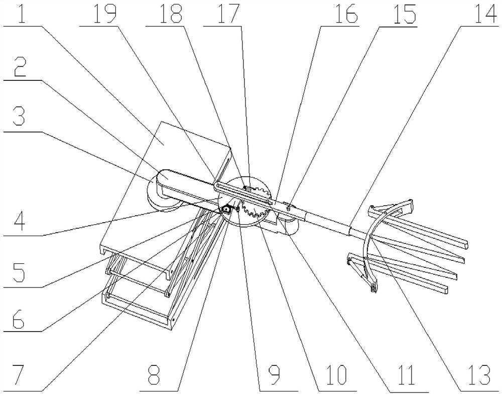 Vibration type camellia oleifera fruit picking device with adjustable amplitude