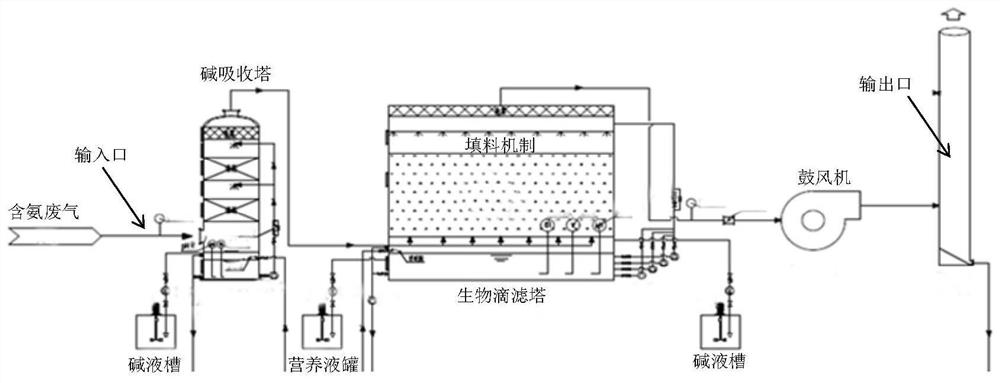 Microchromodispora fungus hnu107 and its application in the degradation of ammonia waste gas