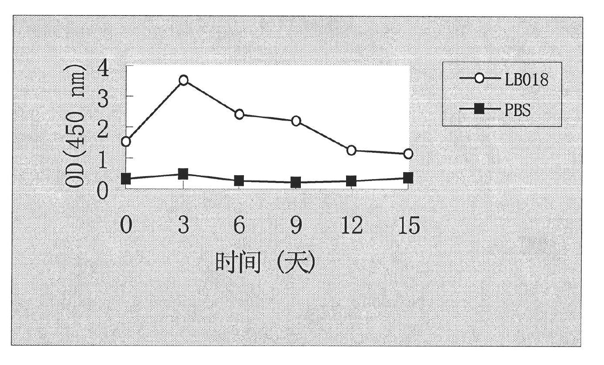 Leptospira interrogans DNA (Deoxyribose Nucleic Acid) vaccine as well as construction method and application thereof