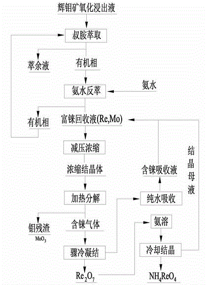 Method for preparing ammonium perrhenate