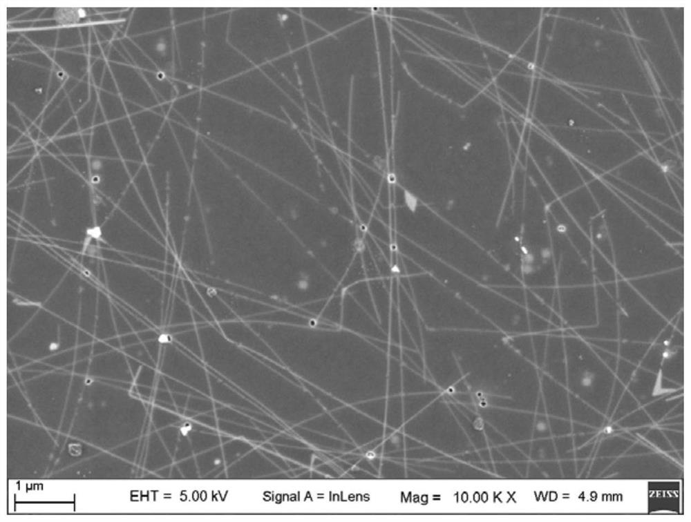 Silver nanowire conductive film and preparation method thereof