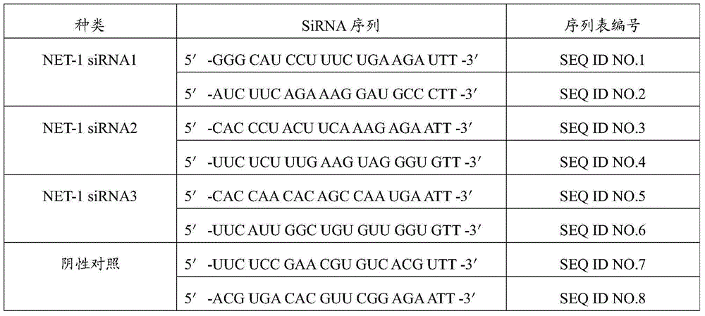 Preparation method of difunctional liver cancer targeted nanobubble carrying NET-1siRNA