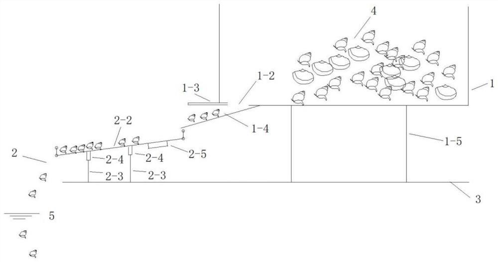 Automatic benthonic animal releasing oscillator