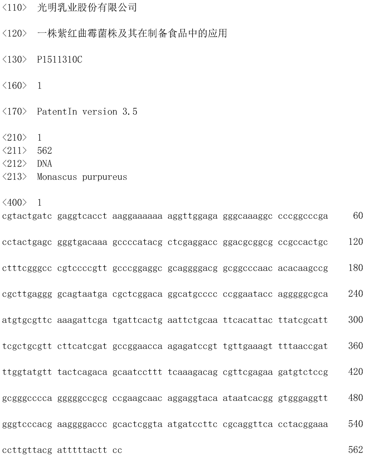 A strain of Monascus purpura and its application in food preparation