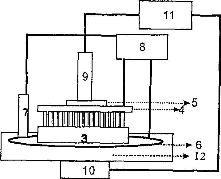 Electrochemical processing method for micro-structure of P type silicon surface