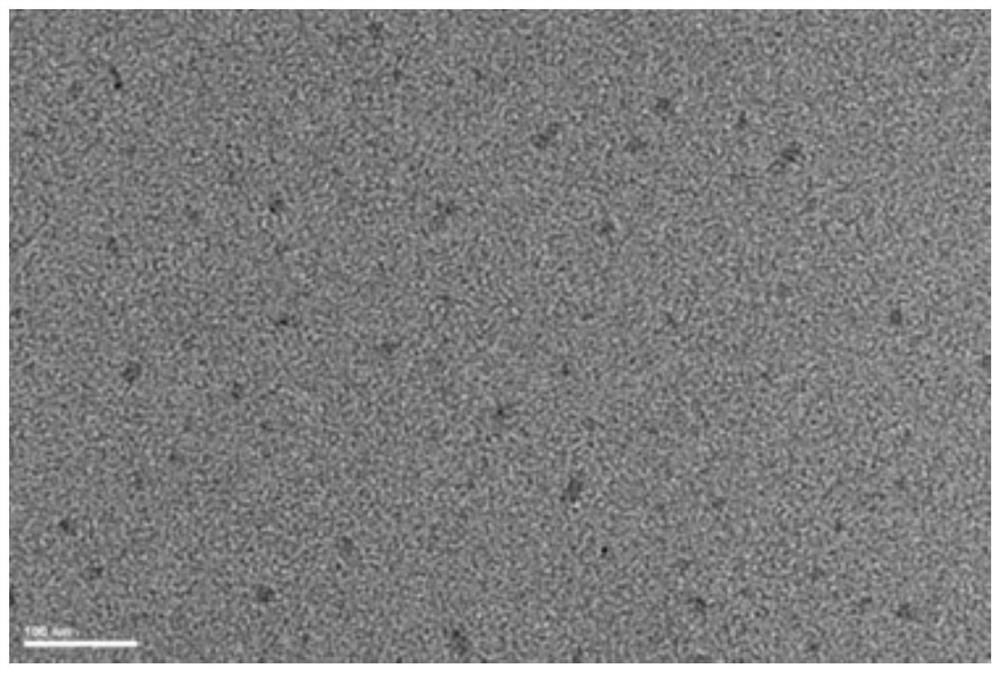 Application of zirconium-doped niobium oxyphosphate catalyst in preparation of carbon quantum dots from lignin, preparation method of carbon quantum dots and carbon quantum dots