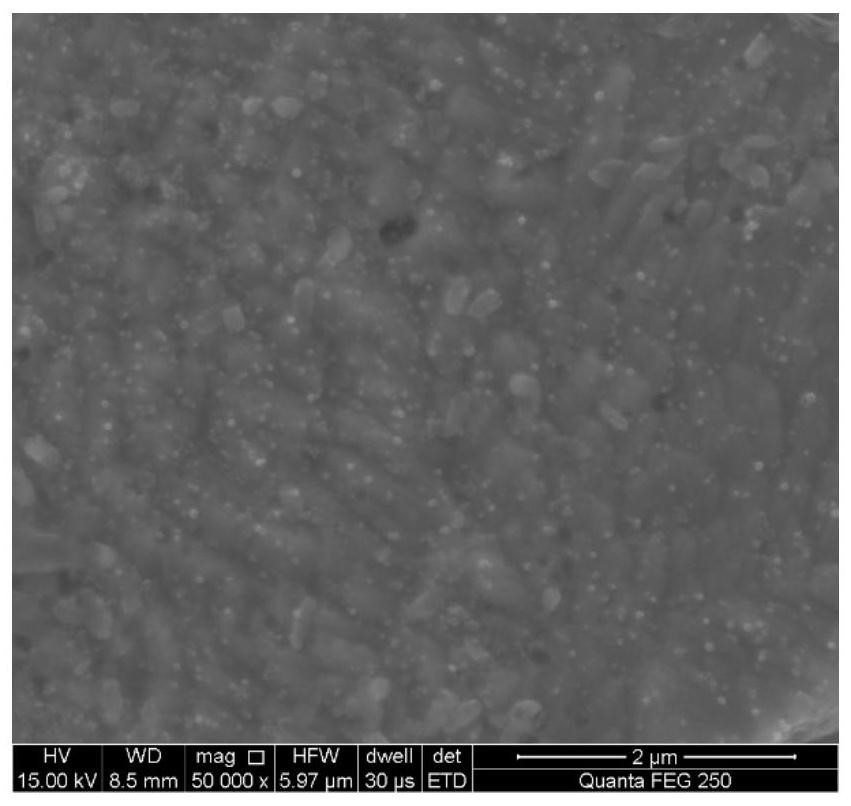 Method for improving strength and conductivity of Cu-Cr-Nb alloy