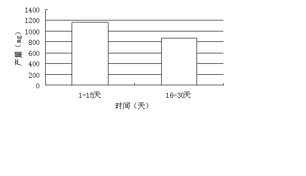 Method for cell perfusion culture to produce recombinant protein by microcarrier technology