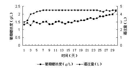 Method for cell perfusion culture to produce recombinant protein by microcarrier technology