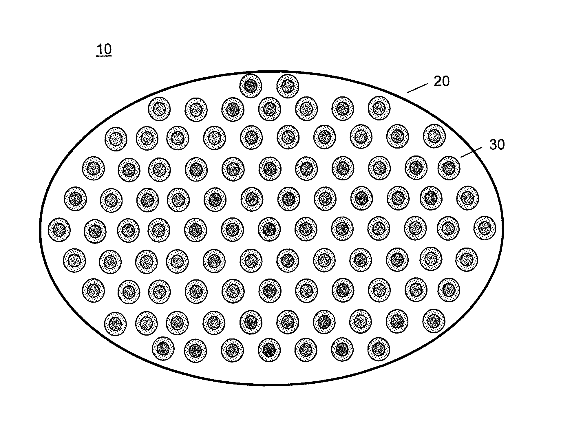 Immunoisolation patch system for cellular transplantation