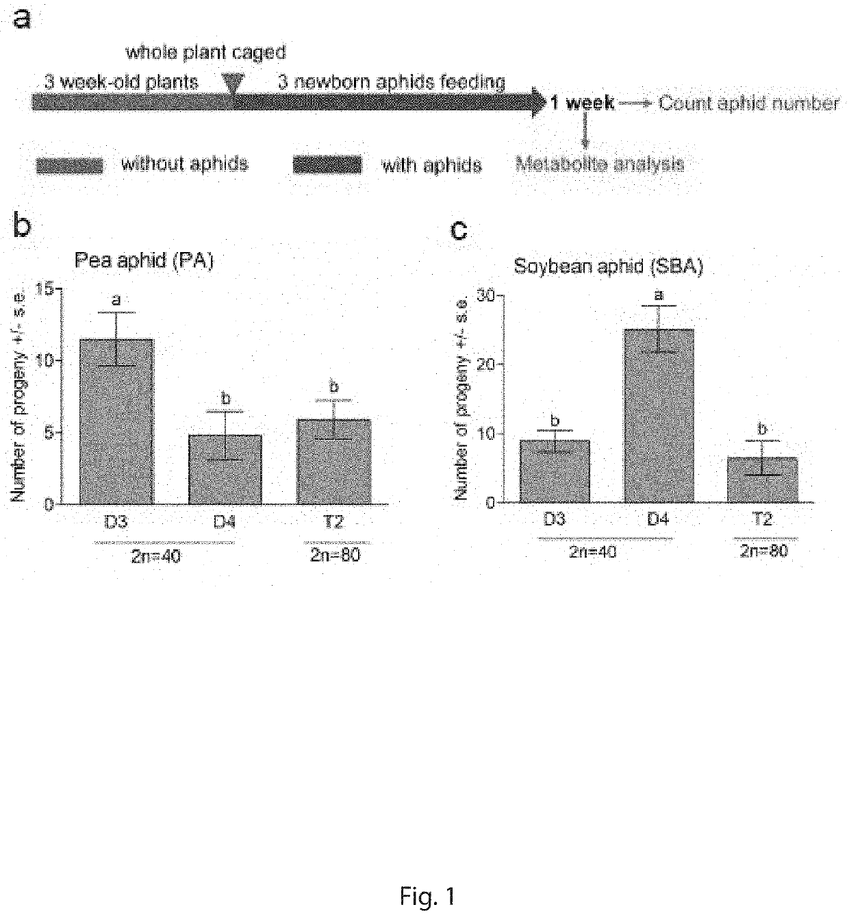 Compositions and Methods of Increasing Aphid Resistance in Transgenic Plants