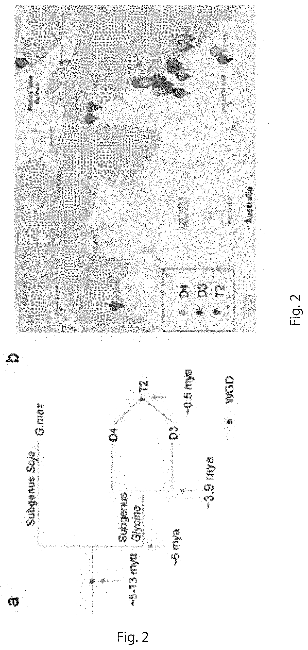 Compositions and Methods of Increasing Aphid Resistance in Transgenic Plants