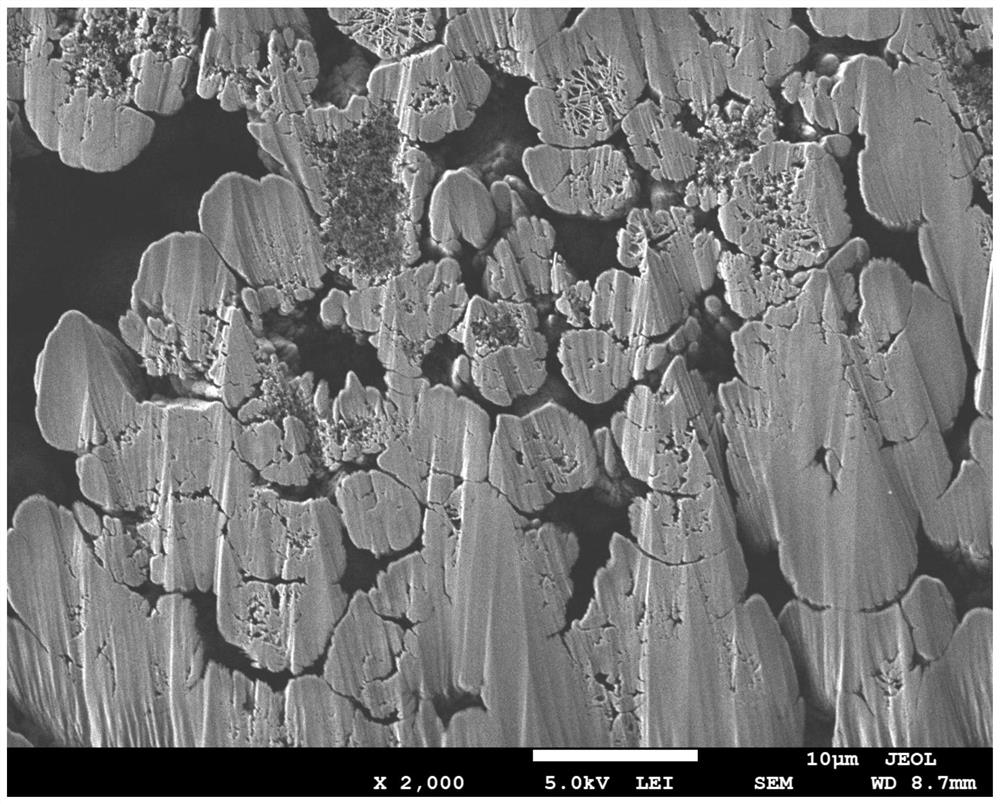 Sodium-ion battery positive electrode material precursor and preparation method thereof