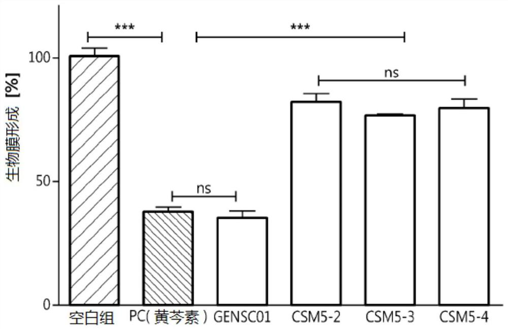 Novel cutibacterium avidum strain, and composition for preventing or treating atopic dermatitis, comprising strain or cultured product thereof