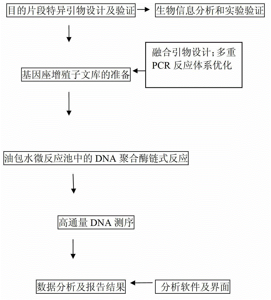 Application of high-pass DNA (Deoxyribonucleic Acid) sequencing method on determination of short tandem repeat gene locus in human genome and method