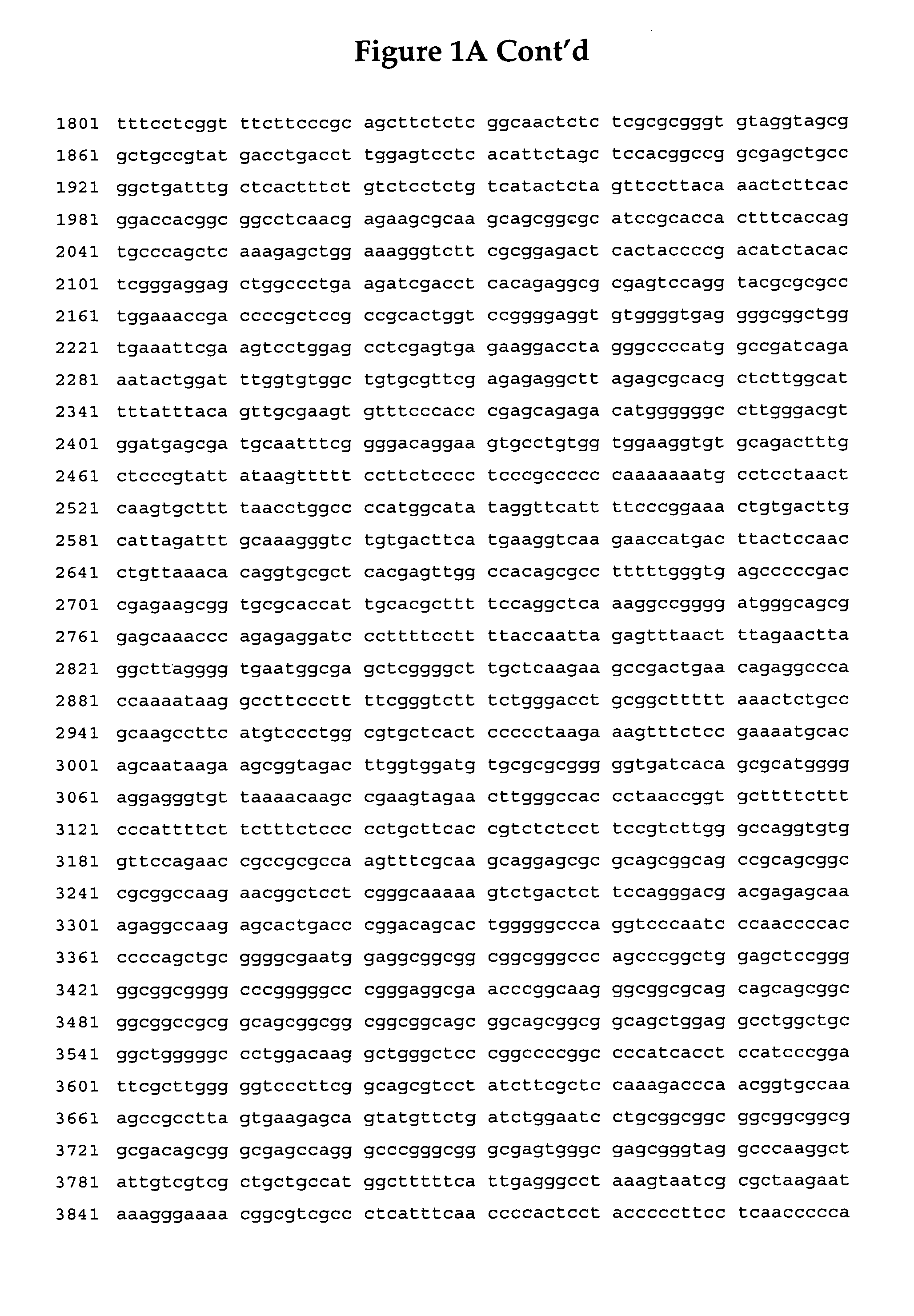 PHOX2B polymorphisms as Hirschsprung's disease diagnostic markers and methods based thereon