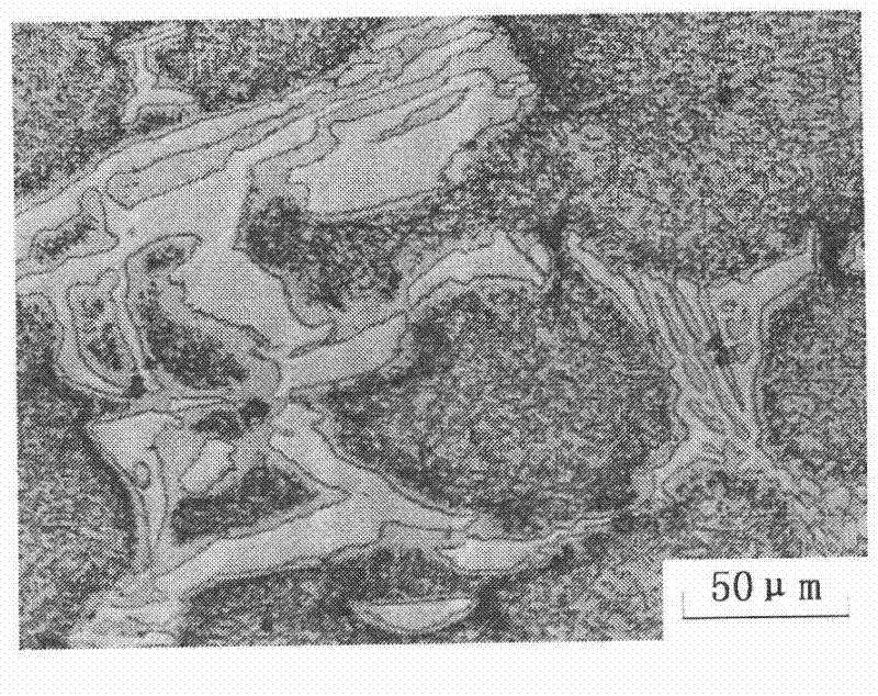 Rare earth modification and ageing processing method of high chromium-nickel alloy steel guide plate