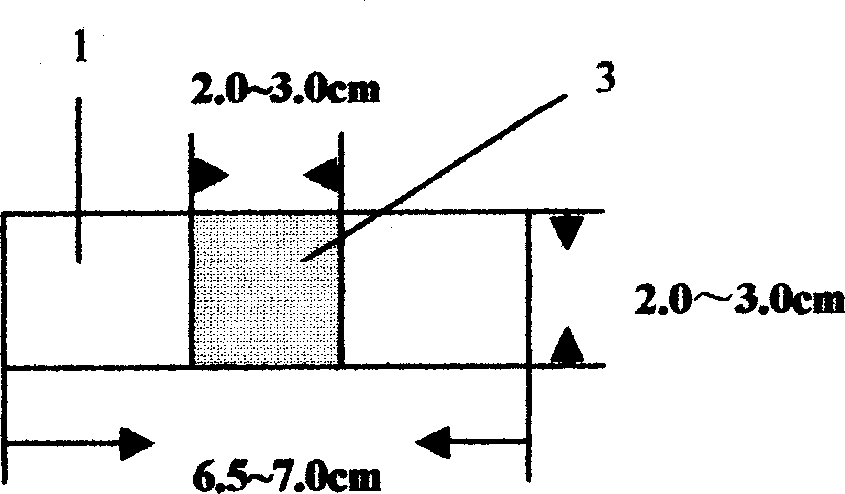 Biological oxygen demand microbe sensor sensitive membrane activating process and automatic activating apparatus