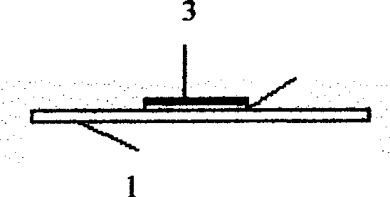 Biological oxygen demand microbe sensor sensitive membrane activating process and automatic activating apparatus