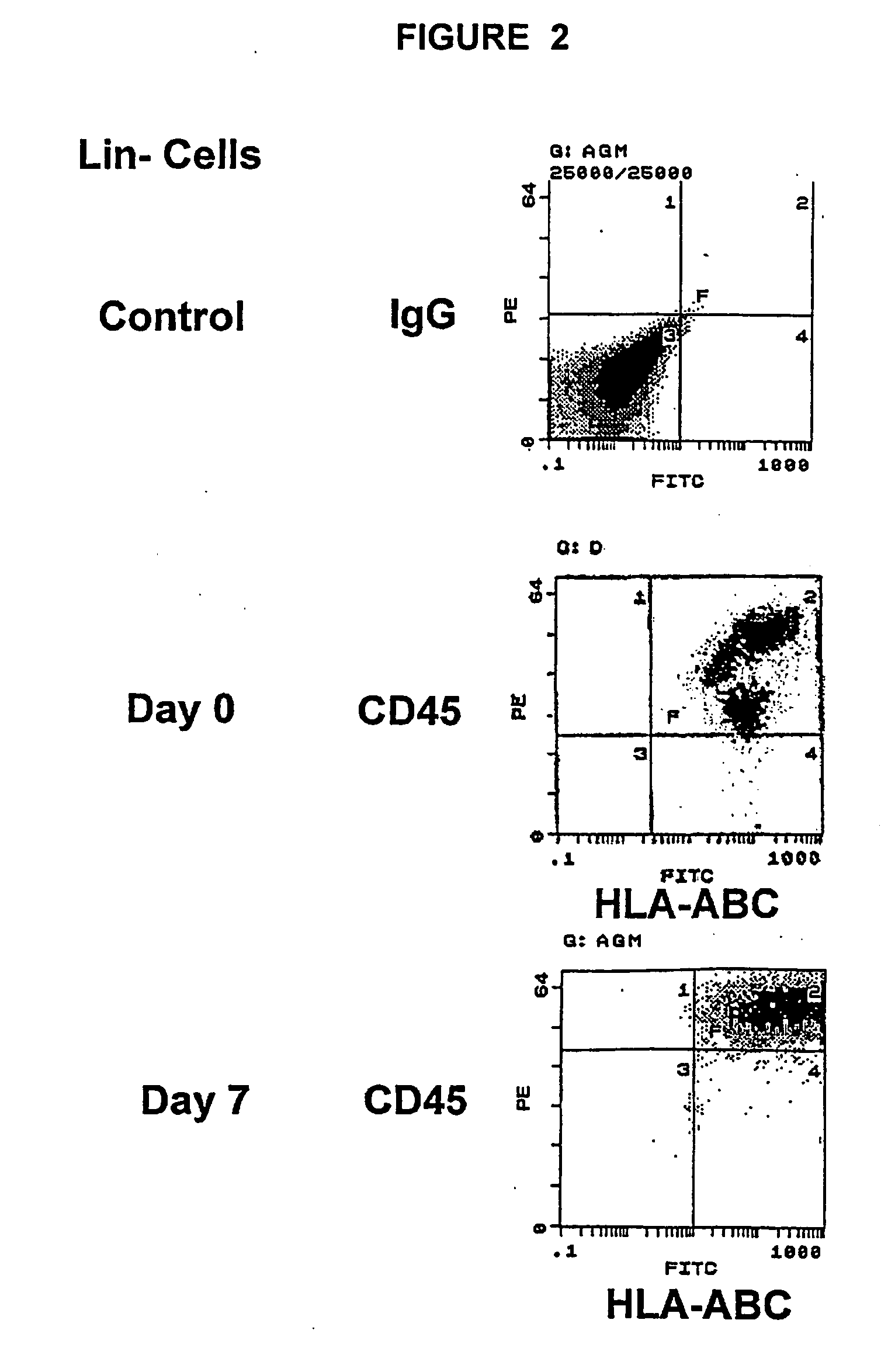 Cellular compositions and methods of making and using them