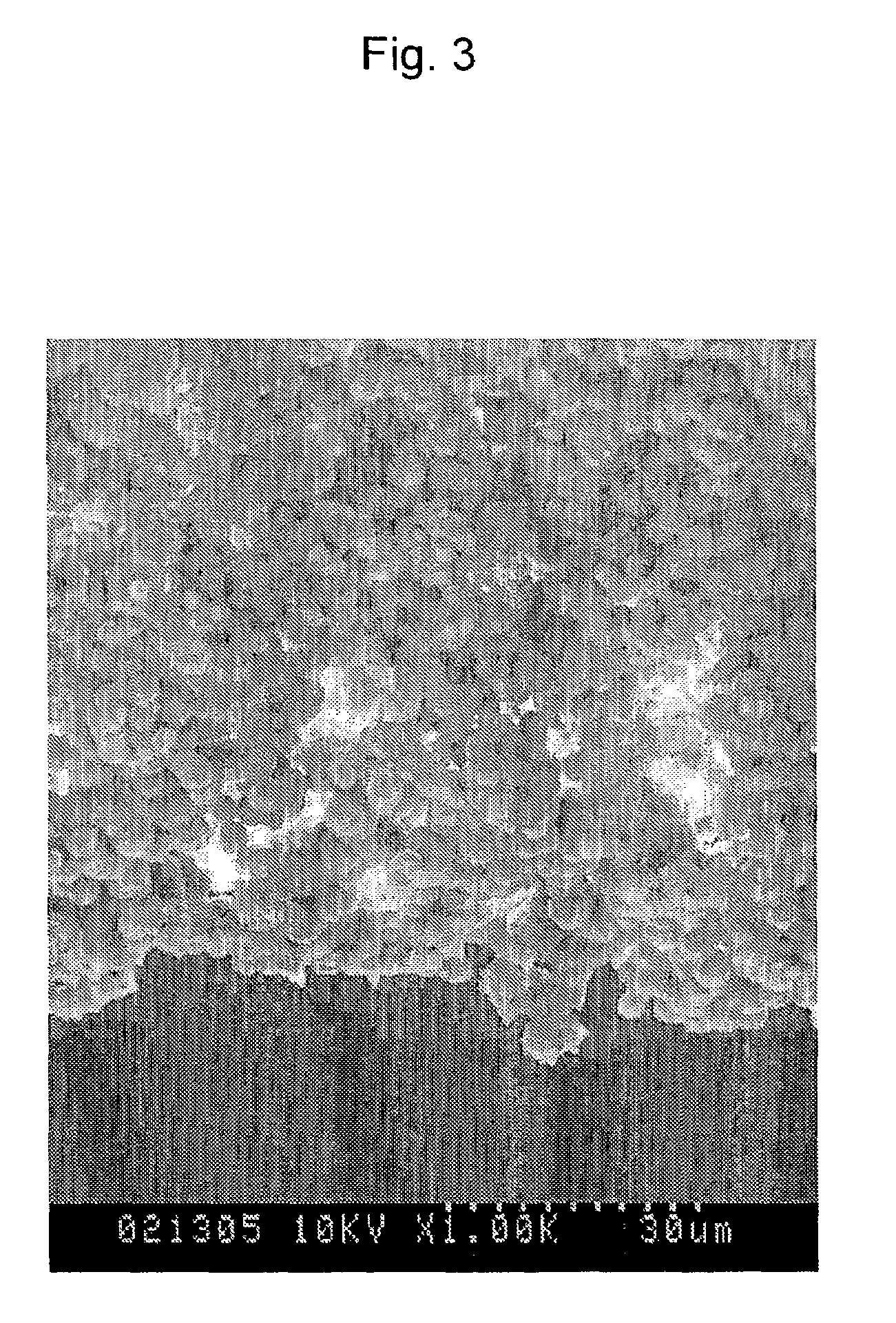 Porous membrane and method for manufacturing the same