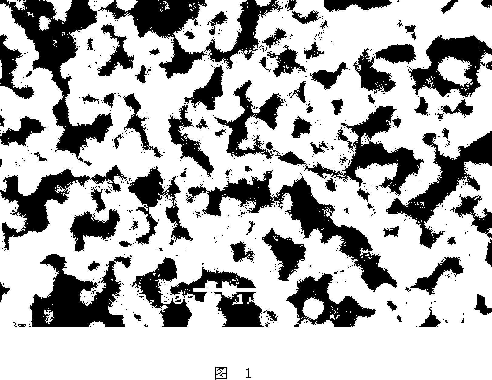 Composite envelope titanium white powder and preparation method thereof