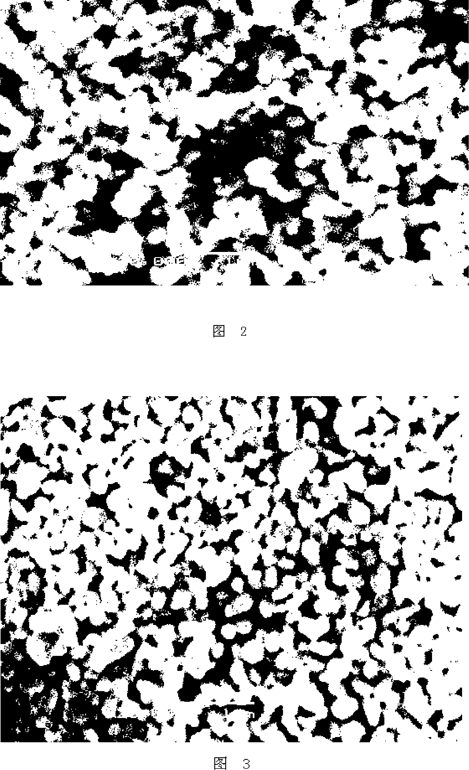 Composite envelope titanium white powder and preparation method thereof