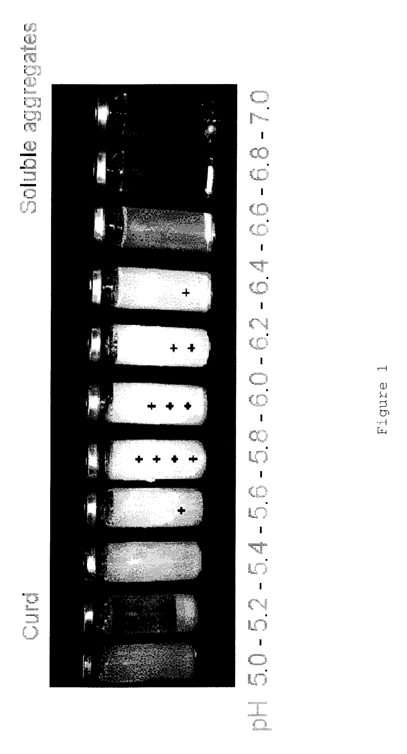 Whey protein micelles