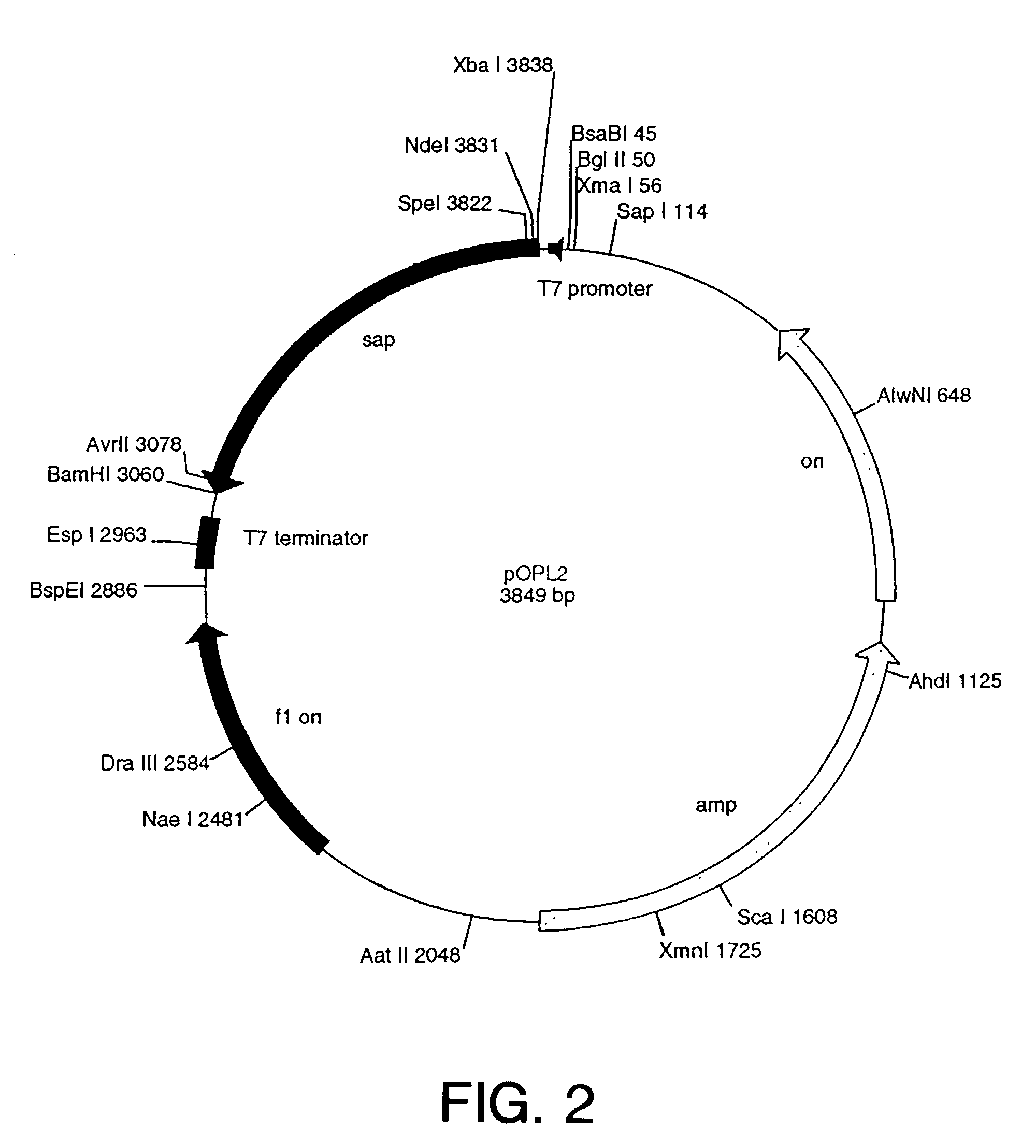 Methods and compositions for treating secondary tissue damage and other inflammatory conditions and disorders