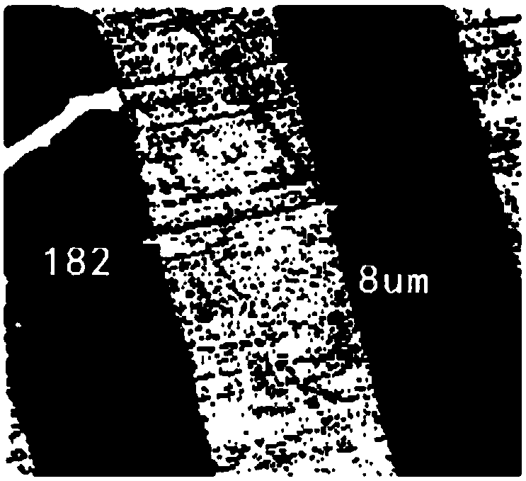 A multi-type line width measurement method and device