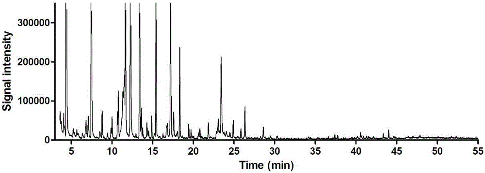 Volatile component measuring method for Tibetan medicine heracleum millefolium diels