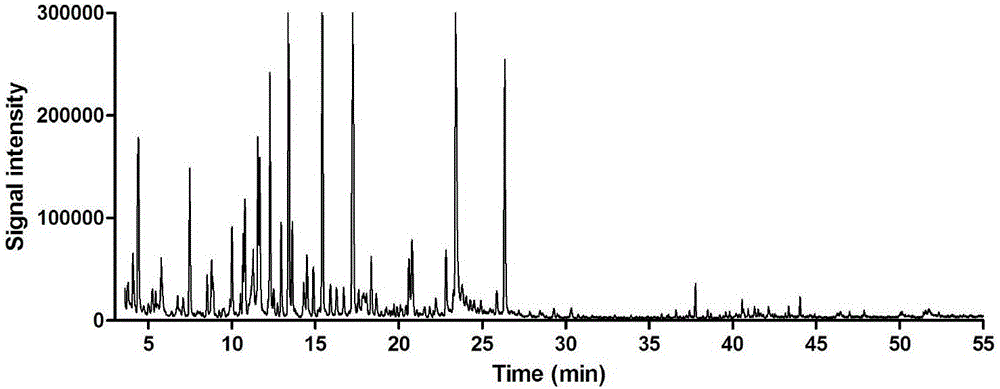 Volatile component measuring method for Tibetan medicine heracleum millefolium diels