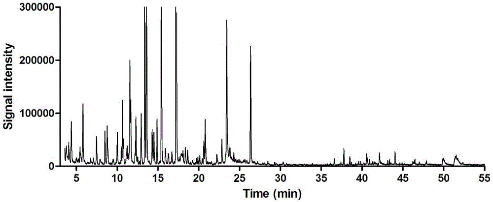 Volatile component measuring method for Tibetan medicine heracleum millefolium diels