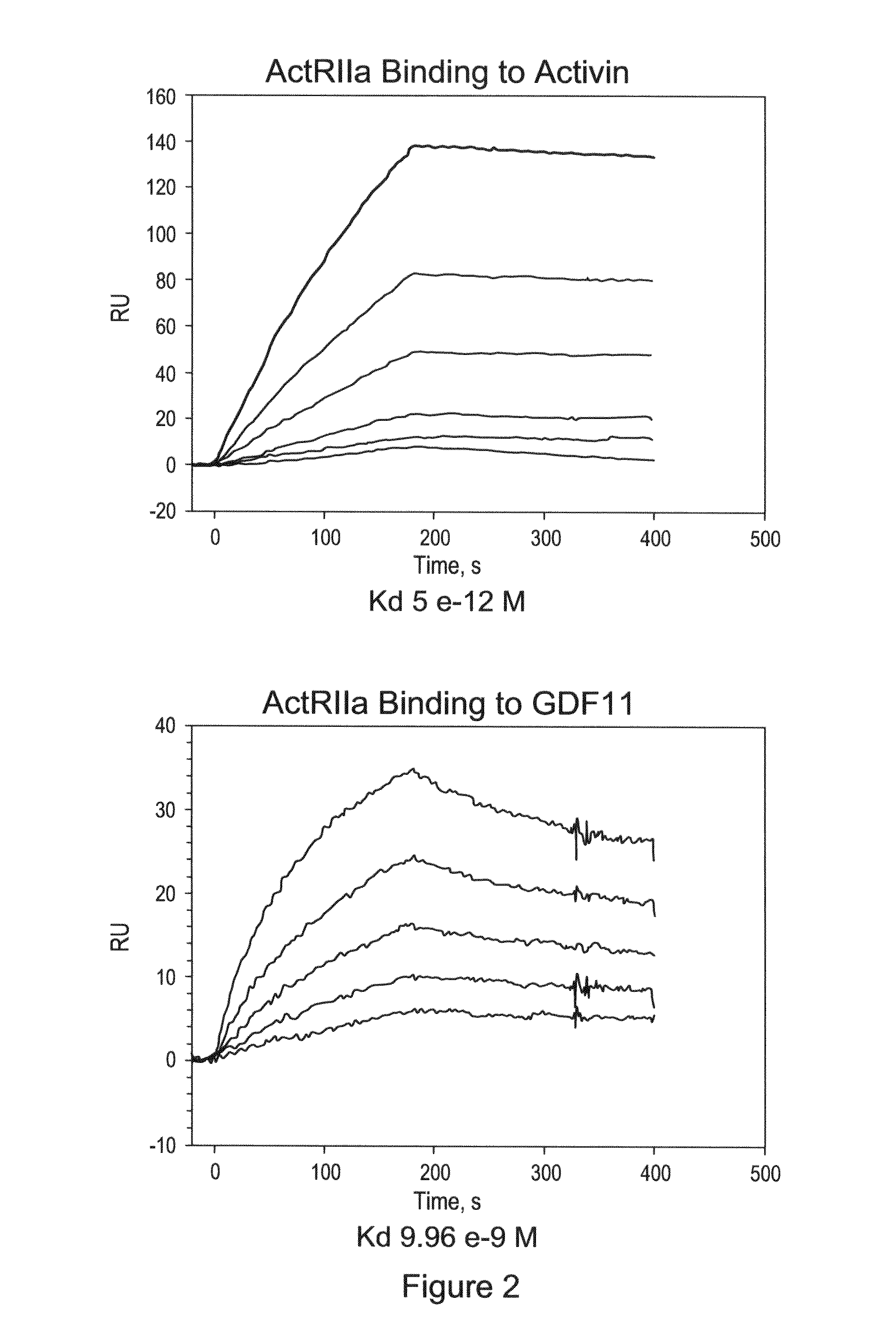 Method of promoting bone growth by an anti-activin B antibody