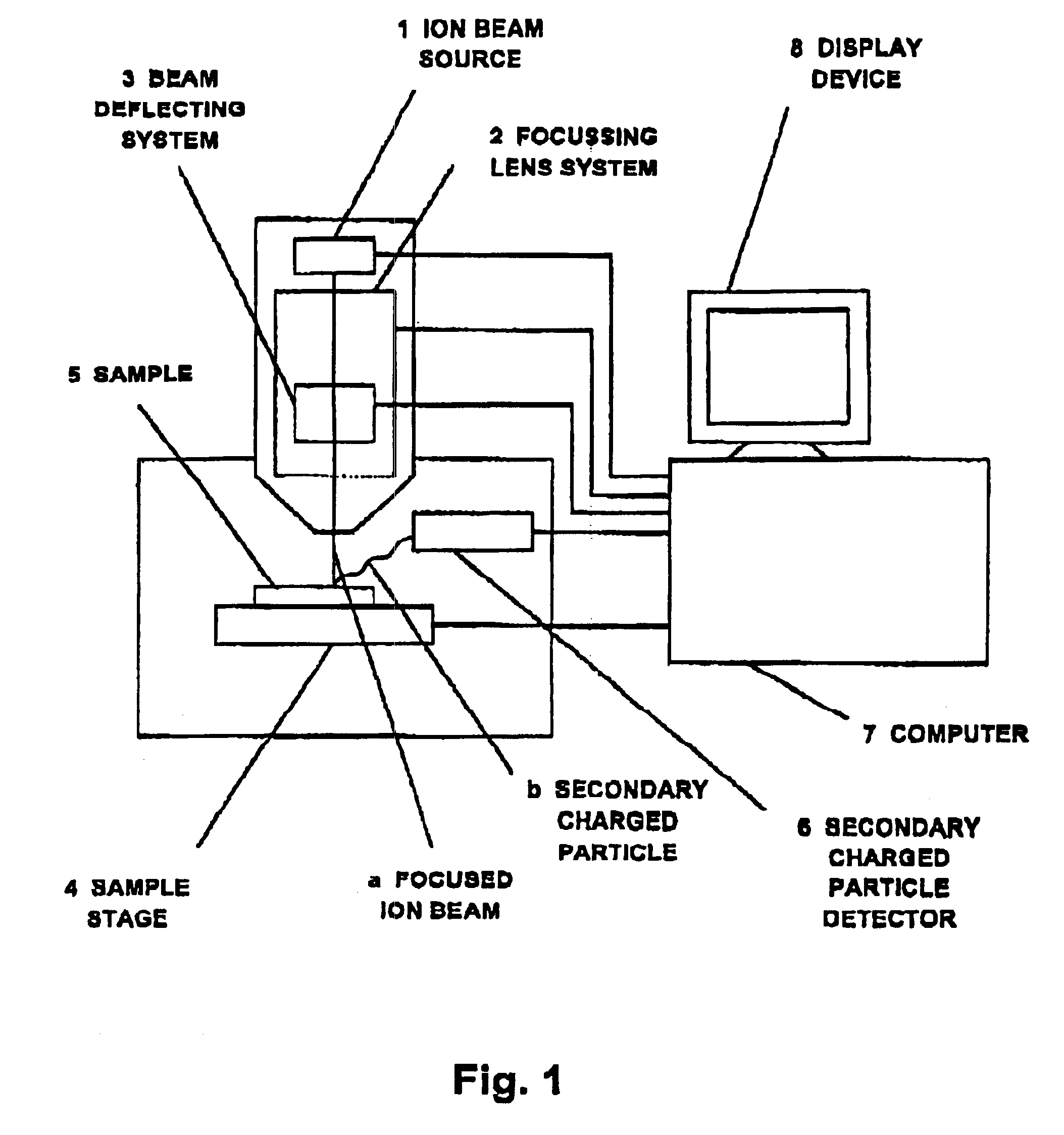 Focused ion beam apparatus