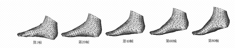 A foot dynamic shape acquisition method