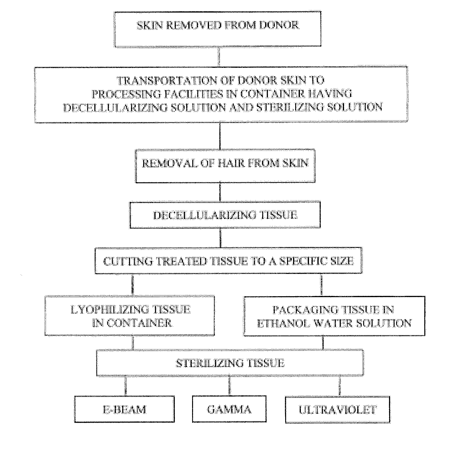 Process for sterilizing acellular soft tissue with irradiation