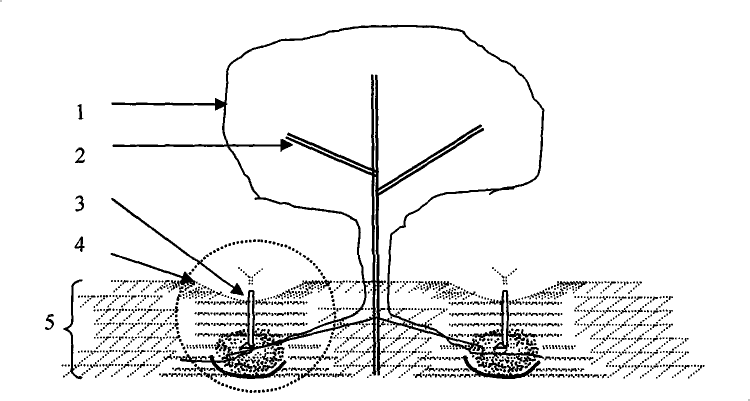 Underground hole irrigation method for orchard