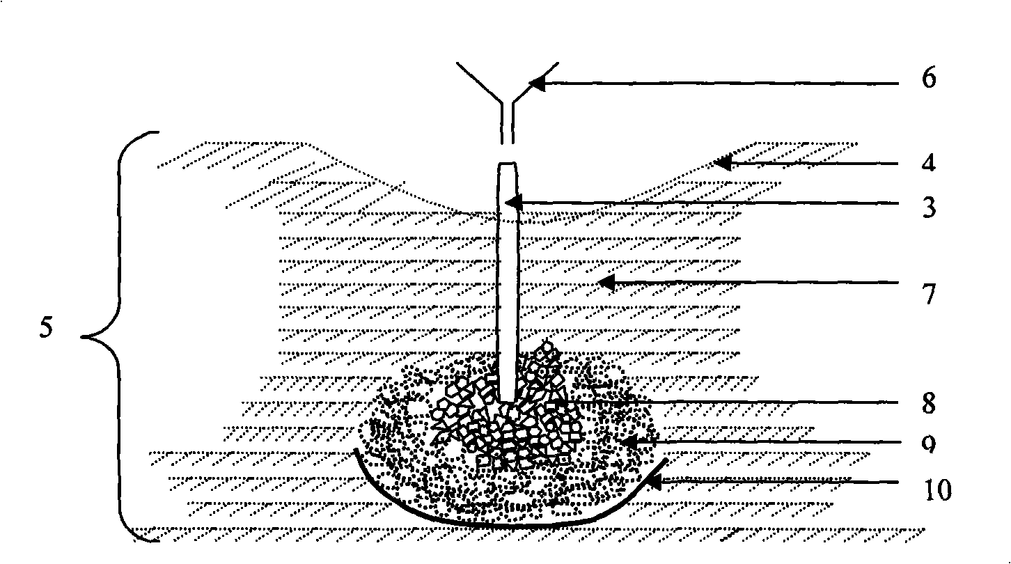 Underground hole irrigation method for orchard