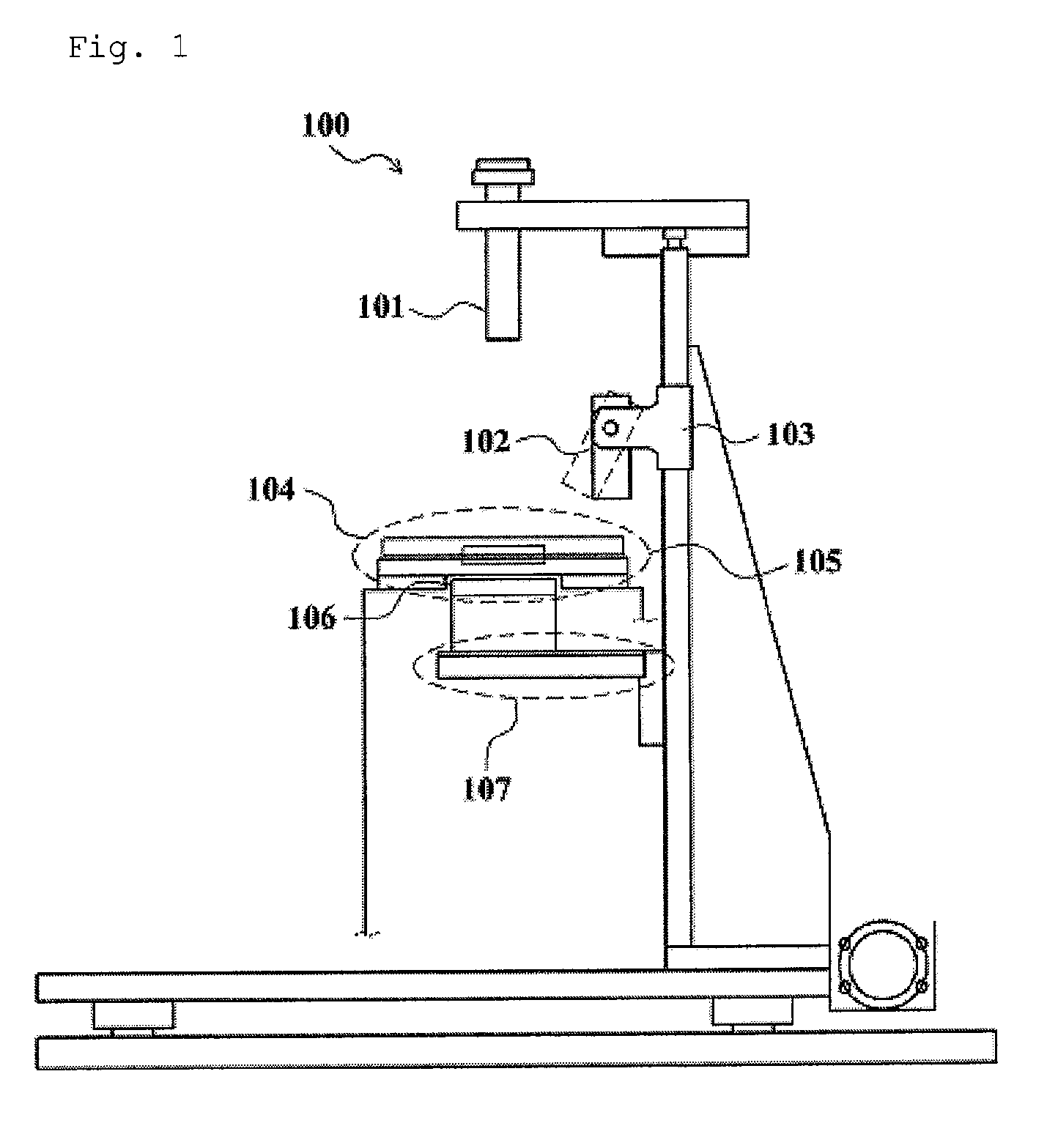 Apparatus for analyzing cells in real-time