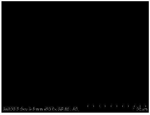 Preparation method of reed-based biochar adsorption material