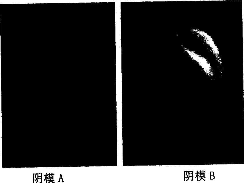 Porous scaffold with complex contour and its preparing process