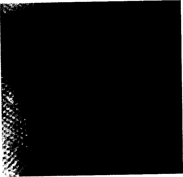 Porous scaffold with complex contour and its preparing process